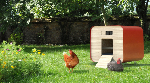 Poulailler Design1 - visuel home
