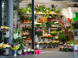 Guide for Sending the Right Flowers at the Right Time Guide for Sending the Right Flowers at the Right Time