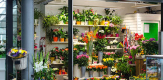 Guide for Sending the Right Flowers at the Right Time Guide for Sending the Right Flowers at the Right Time